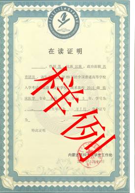 z%20001